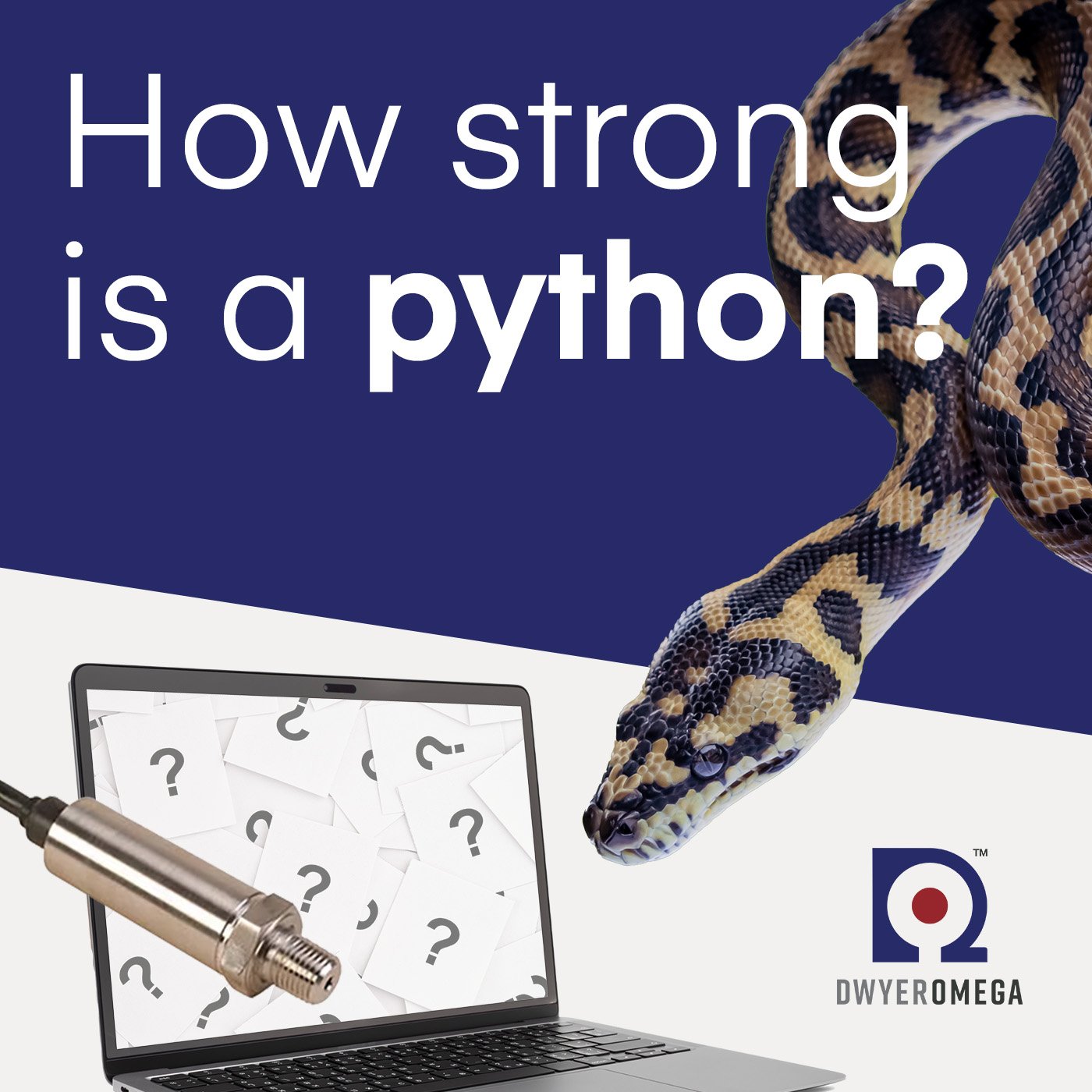 01232025_how-strong-is-a-python_1400x1400